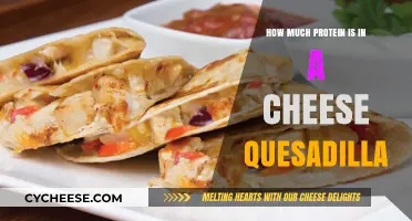 Cheese Quesadilla Protein Content: A Nutritional Breakdown You Need