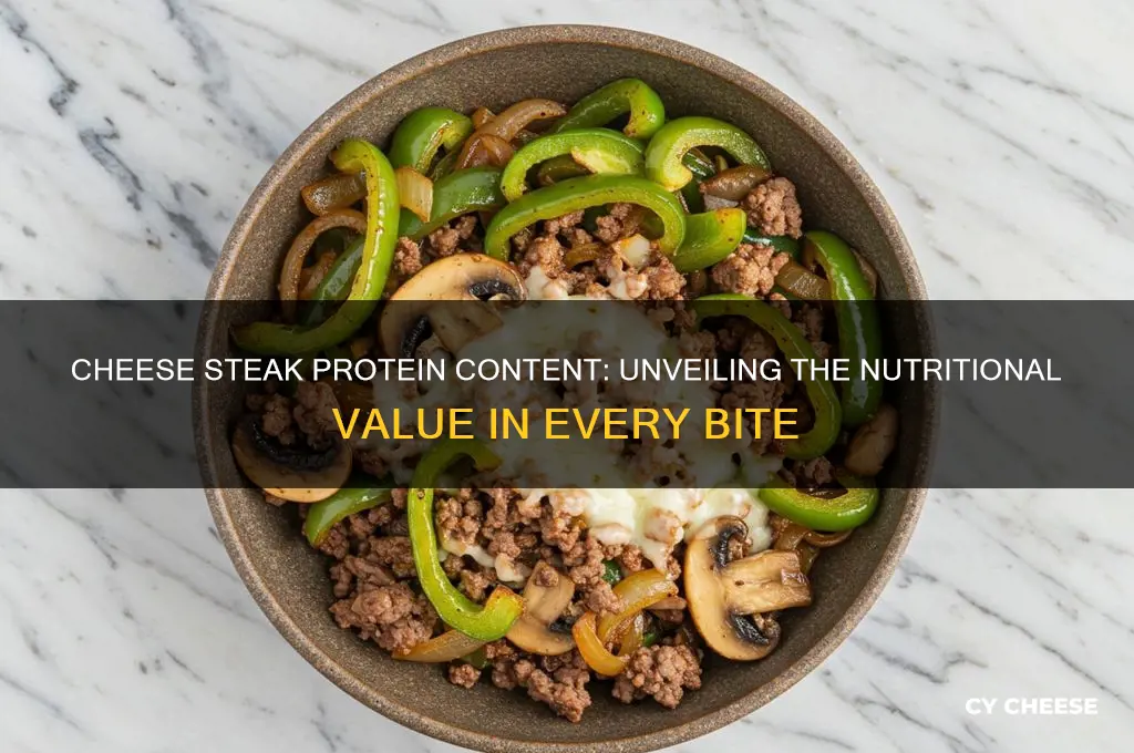 how much protein is in a cheese steak