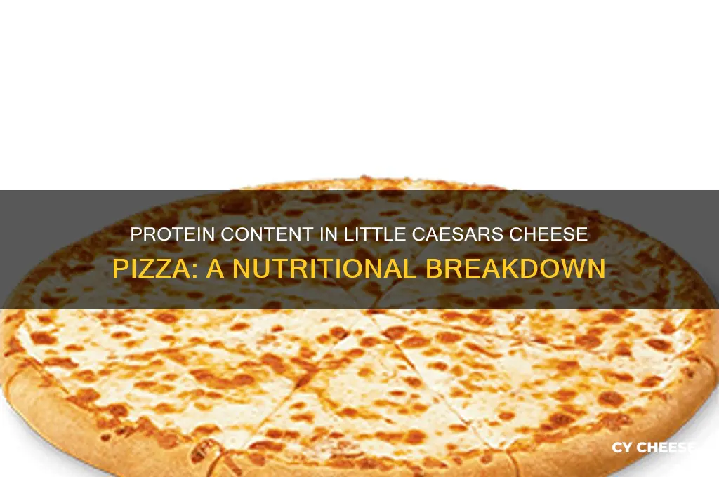 how much protein is in a little caesars cheese pizza