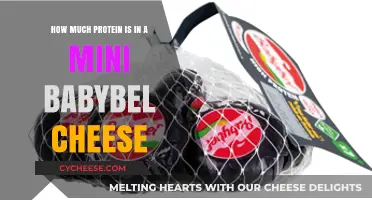 Mini Babybel Cheese Protein Content: A Nutritional Breakdown