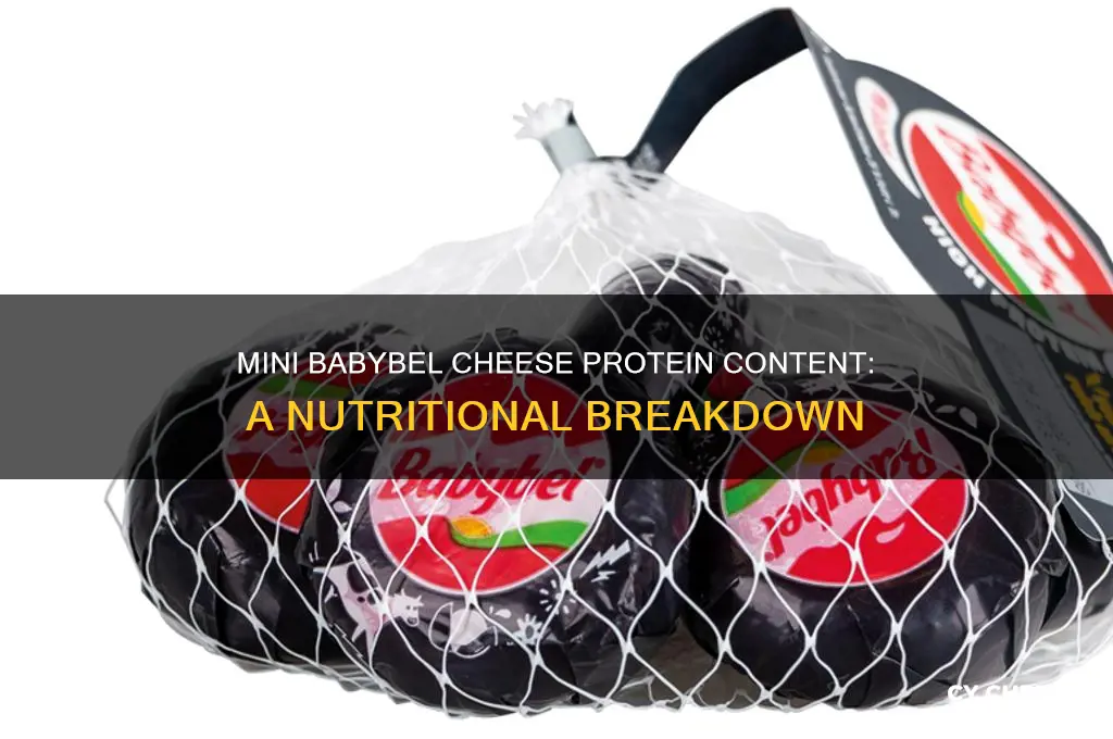 how much protein is in a mini babybel cheese