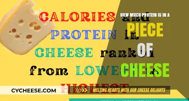 Cheese Protein Content: Uncovering the Nutritional Value in Every Slice