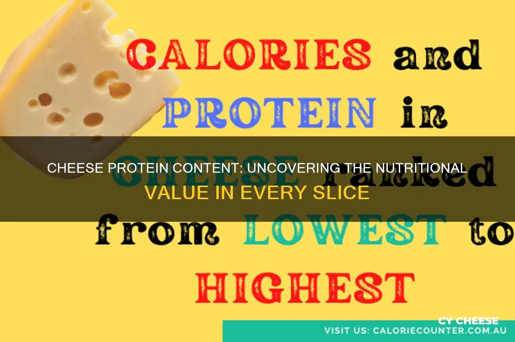 how much protein is in a piece of cheese