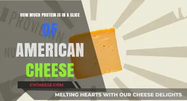 Protein Content in a Slice of American Cheese: A Nutritional Breakdown