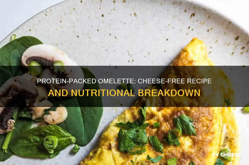 how much protein is in an omelette without cheese