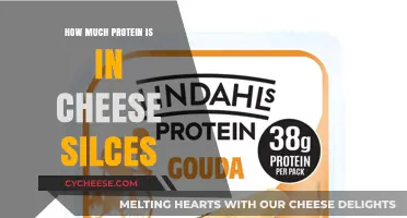 Cheese Slices Protein Content: Uncovering the Nutritional Value