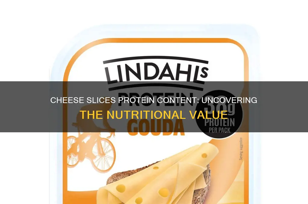 how much protein is in cheese silces