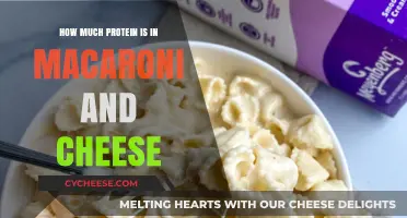 Mac and Cheese Protein Content: A Nutritional Breakdown