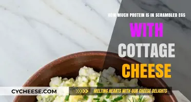 Protein Power: Scrambled Eggs and Cottage Cheese Nutrition Breakdown
