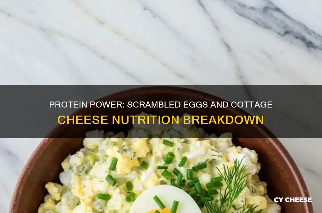 how much protein is in scrambled egs with cottage cheese