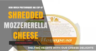 Protein Content in a Cup of Shredded Mozzarella Cheese Explained