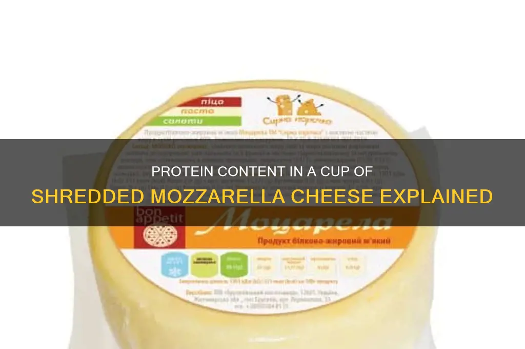 how much protewinare ina cup of shredded mozzererella cheese
