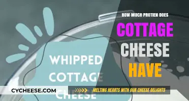 Cottage Cheese Protein Power: Unveiling Its Nutritional Benefits and Content