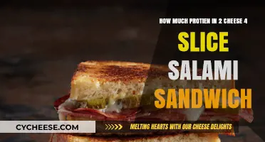 Protein Count in a 2 Cheese, 4 Slice Salami Sandwich