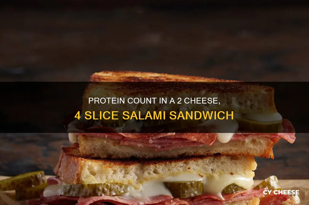 how much protien in 2 cheese 4 slice salami sandwich