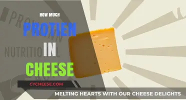 Cheese Protein Content: Uncovering the Nutritional Value in Every Bite