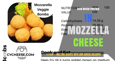 Mozzarella Cheese Protein Content: A Nutritional Breakdown and Benefits