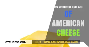 Protein Content in a Slice of American Cheese: A Quick Guide