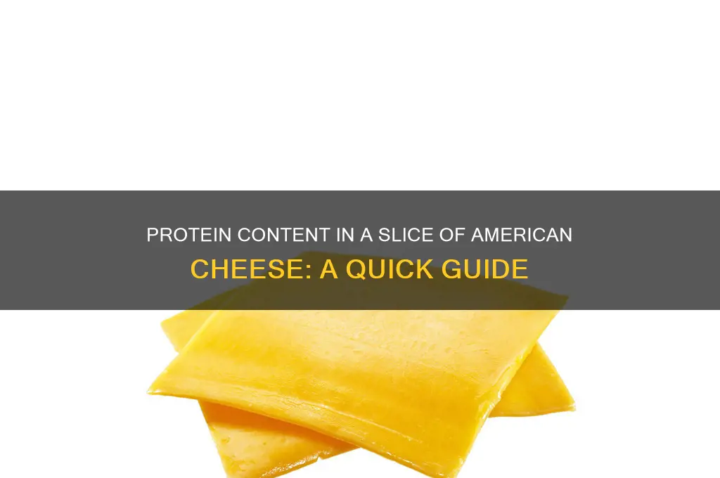 how much protien in one slice of american cheese