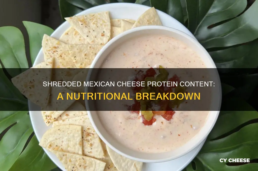 how much protien in shredded mrxican cheese