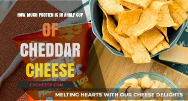 Cheddar Cheese Protein Content: Half Cup Serving Nutrition Breakdown