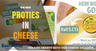 Protein Power in Cheese: Uncovering Nutritional Value and Benefits