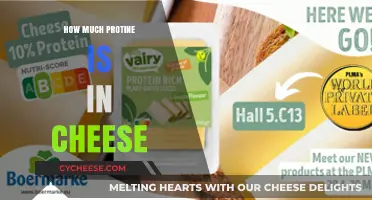 Cheese Protein Content: Uncovering the Nutritional Value in Every Bite