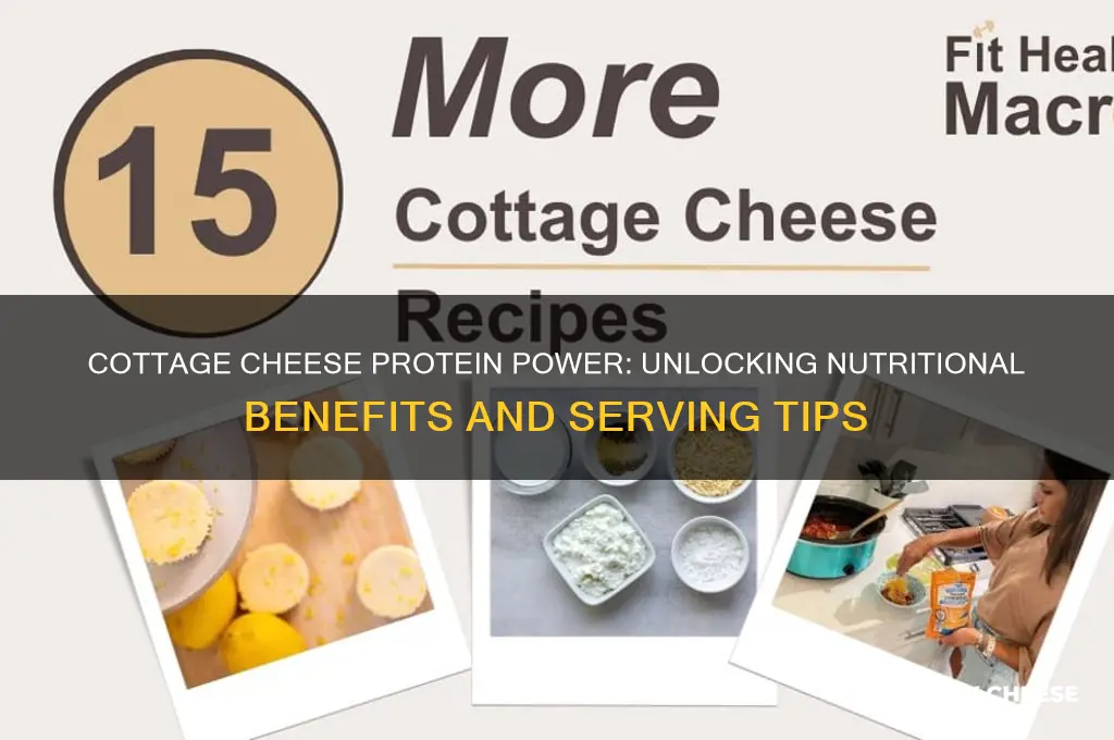 how much prottein in cottage cheese