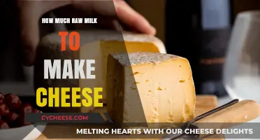 Crafting Cheese: Raw Milk Quantities for Perfect Homemade Results