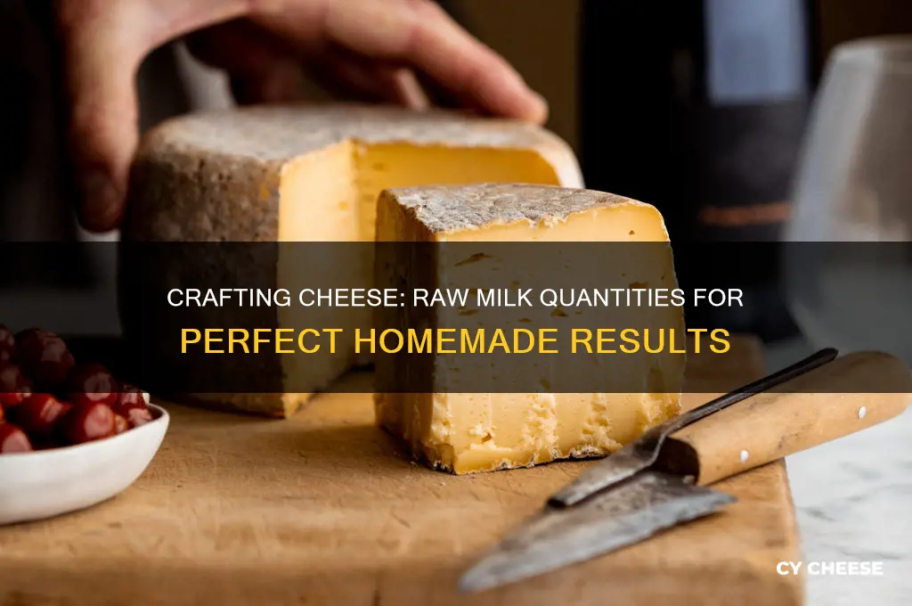 how much raw milk to make cheese