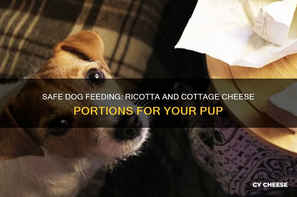 how much ric and cotage cheese to feed my dog