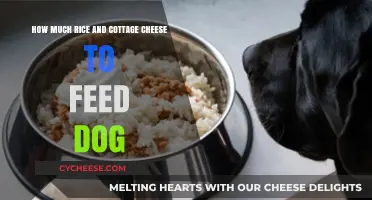 Feeding Dogs Rice and Cottage Cheese: Balanced Portions for Optimal Health