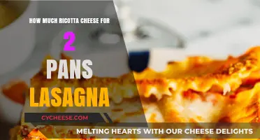 Perfect Ricotta Cheese Amount for Two-Pan Lasagna Recipe Guide