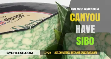 Sibo-Friendly Diet: Safe Sage Cheese Portions for Gut Health
