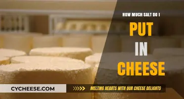 Perfect Cheese Salting: How Much Salt to Add for Ideal Flavor