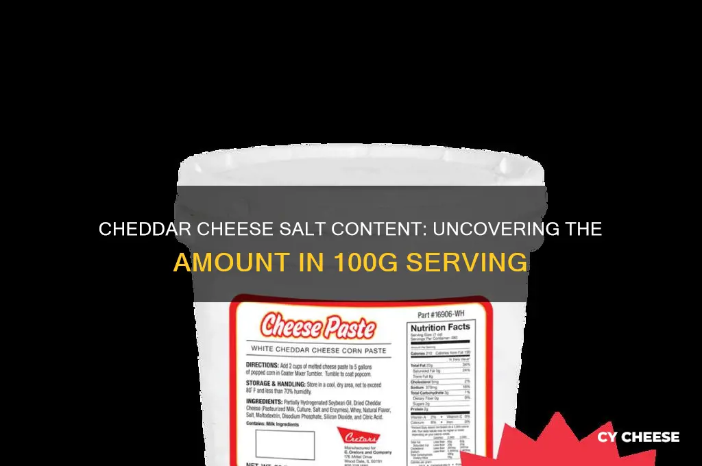 how much salt in 100g cheddar cheese