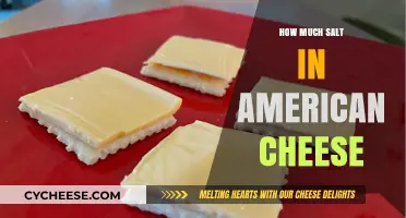 Uncovering the Surprising Salt Content in American Cheese Slices