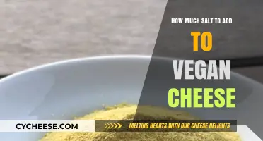 Perfecting Vegan Cheese: Salt Quantity Tips for Optimal Flavor Balance