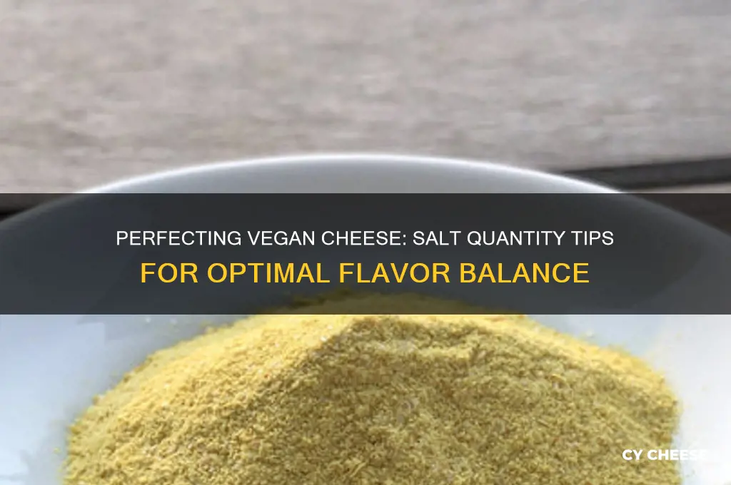 how much salt to add to vegan cheese