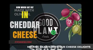 Cheddar Cheese and Saturated Fat: Understanding Its Nutritional Content