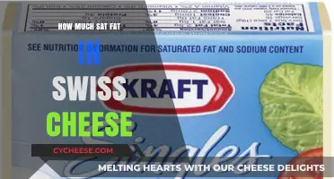 Swiss Cheese and Saturated Fat: Understanding Its Nutritional Content