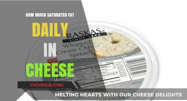 Daily Saturated Fat Intake in Cheese: What's a Healthy Limit?