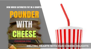 Quarter Pounder with Cheese: Uncovering Its Saturated Fat Content