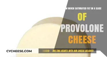 Saturated Fat Content in a Slice of Provolone Cheese Revealed