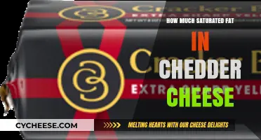 Cheddar Cheese Saturated Fat Content: What You Need to Know