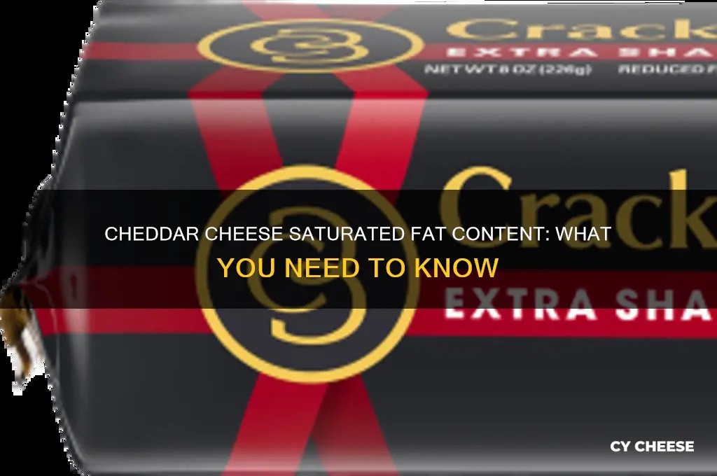 how much saturated fat in chedder cheese