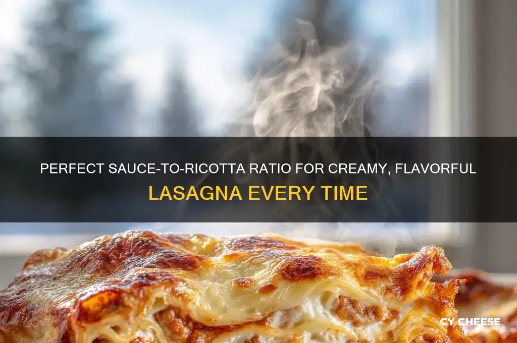 how much sauce for lasagna with ricotta cheese