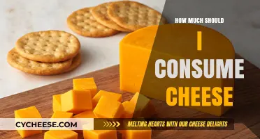 Cheese Consumption Guide: Balancing Flavor and Health in Your Diet