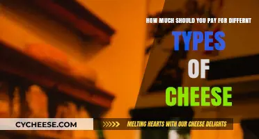 Cheese Pricing Guide: Smart Shopping for Every Cheese Type