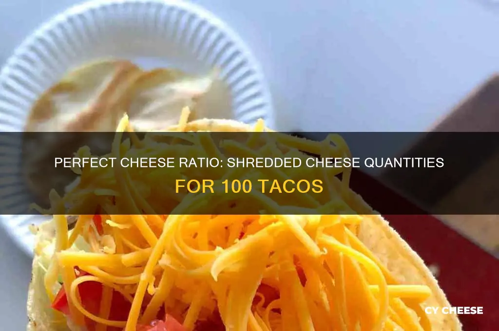 how much shredded cheese for 100 tacos